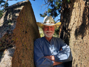 Verne Pershing, The ART of WATER, Landscape Designer Camino