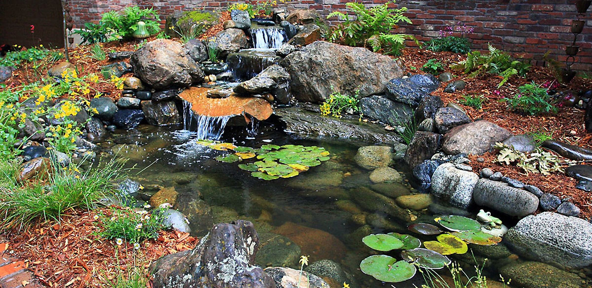 Aquascape Ecosystem Pond Placerville