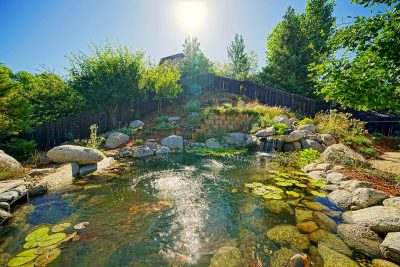 The Art of Water - Ponds and Water Features in Norther CA