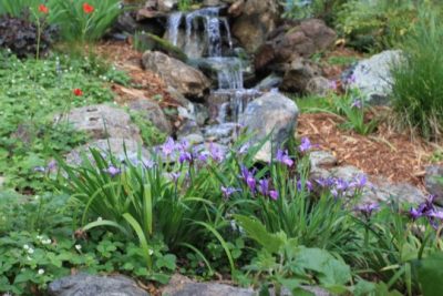 Water Feature Services