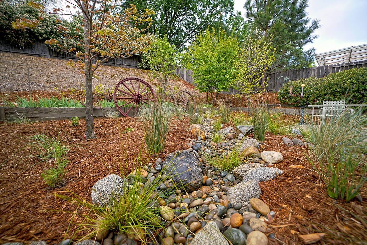 dry garden bed